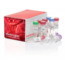 Набор для клонирования TOPO TA Cloning Kit for Sequencing, компетентные клетки не включены, Thermo FS