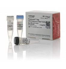 ДНК-полимераза Platinum Taq DNA Polymerase High Fidelity, Thermo FS